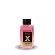 House Freshener Crystal X-Sticks FR02