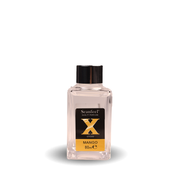 House Freshener Crystal X-Sticks FR02