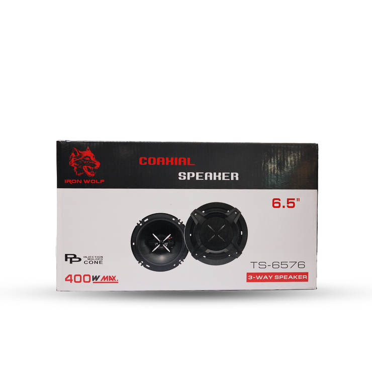Speaker Iron Wolf TS-6576