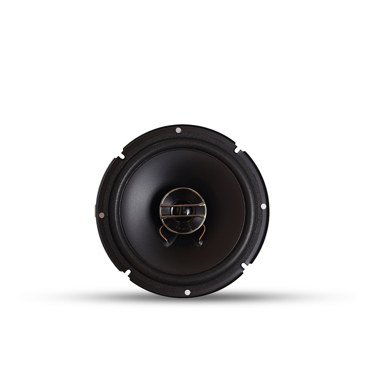 Speaker Pioneer TS-F170