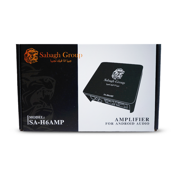 Amplifier Sabbagh Group