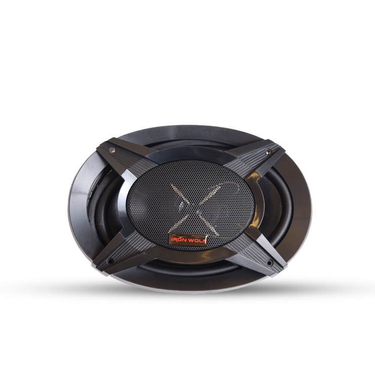 Speaker Iron wolf TS-6976